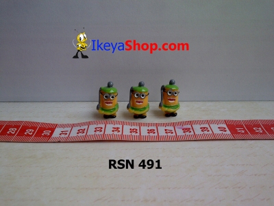 rsn 491  large2